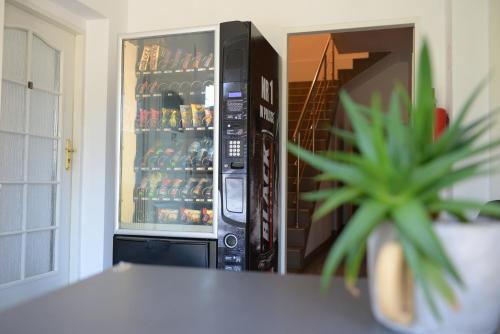 リブニクにあるVilla Basiaの冷蔵庫(ドリンク入り)、前に植物