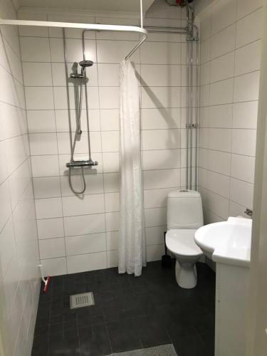 a bathroom with a toilet and a sink at Pensionat Haga Öland in Löttorp