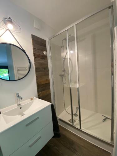 une salle de bain avec une douche, un lavabo et un miroir dans l'établissement La Cabane de Troyes - Chambre d'hôtes, à Troyes