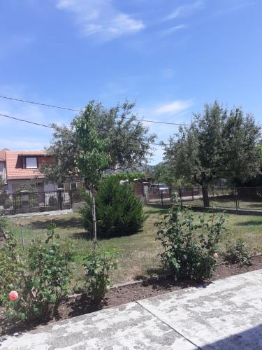 Photo de la galerie de l'établissement Apartman Damjanovic, à Cetinje