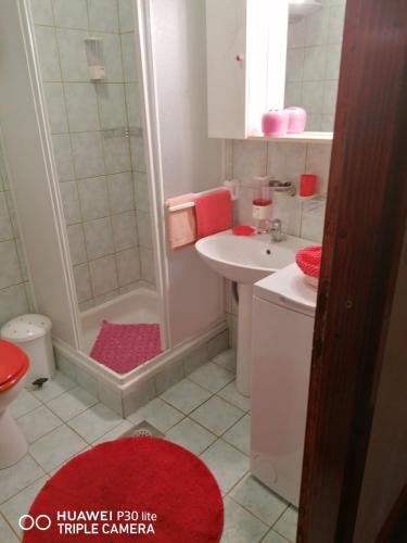 a bathroom with a shower and a toilet and a sink at Apartmani Zute in Korčula