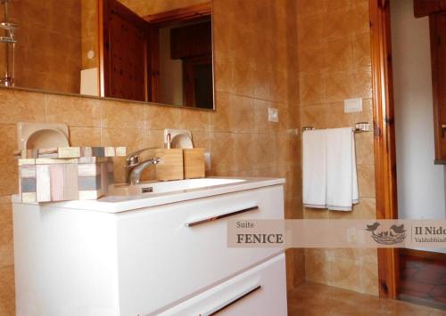 ein Bad mit einem Waschbecken und einem Spiegel in der Unterkunft IL NIDO Appartamenti Turistici in Valdobbiadene