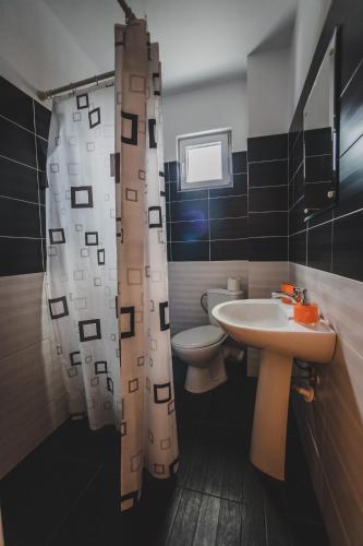 a bathroom with a sink and a toilet and a shower curtain at La Pădure Pensiune-Restaurant in Novaci-Străini
