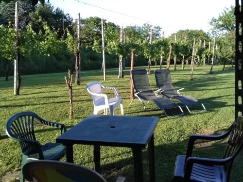 Κήπος έξω από το Villa Lilli 2