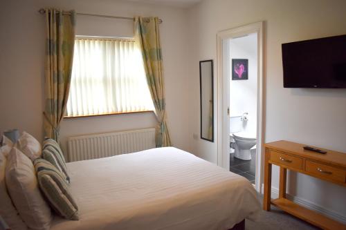 a bedroom with a bed and a toilet and a television at The Meadows B&B in Moville