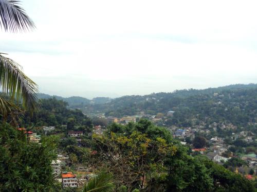 Landskap semula jadi dekat dengan homestay