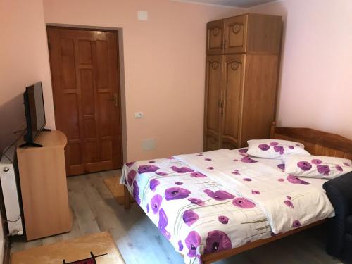 a bedroom with a bed and a television in it at Vila Alpina Olănești in Băile Olăneşti