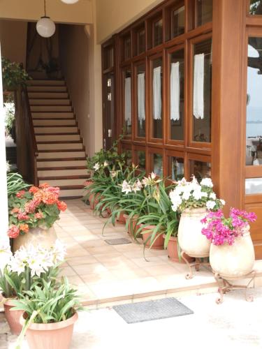 a row of potted plants on a building with stairs at HELEN'S ROOMS in Míloi