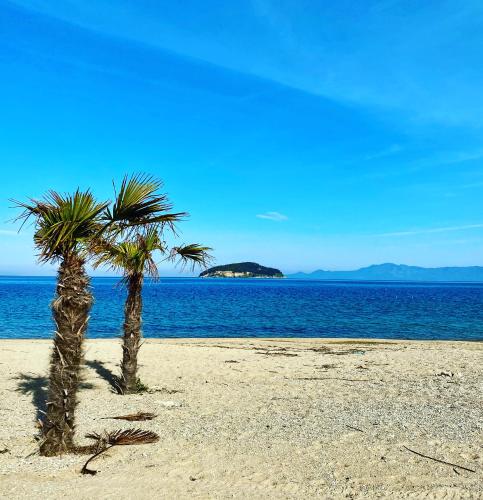 two palm trees on a sandy beach near the ocean at Kavala Beach Hotel apartments in Iraklitsa