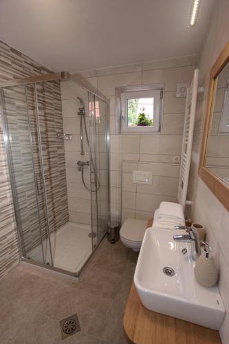 a bathroom with a shower and a sink and a toilet at Apartments Ela in Rateče