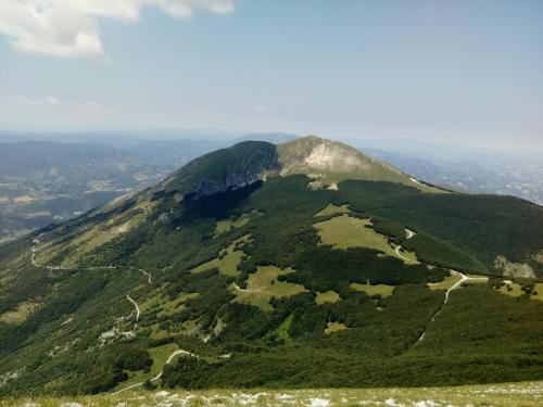 a mountain covered in green trees with a view at Bed & Breakfast SENTIERO 54 in Cantiano