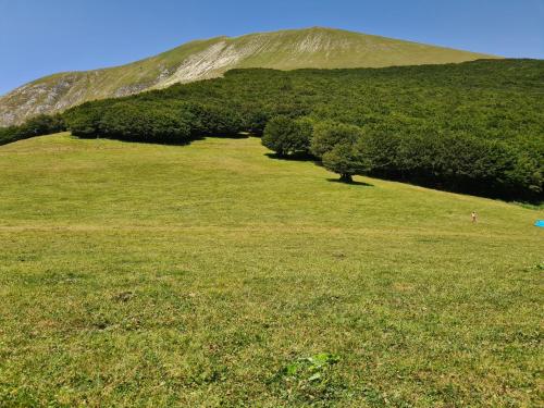 a green field with trees in front of a hill at Bed & Breakfast SENTIERO 54 in Cantiano