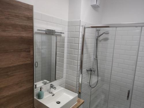La salle de bains est pourvue d'un lavabo et d'une douche. dans l'établissement Androméda Apartman, à Sárvár