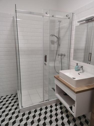 Un baño con ducha de cristal y lavabo. en Androméda Apartman, en Sárvár