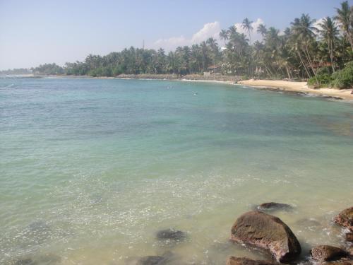 a beach with rocks in the water and palm trees at SunRay Rest - Beach View Homestay in Mirissa