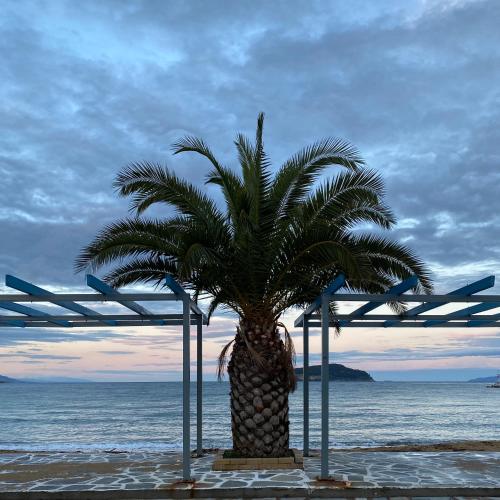 a palm tree sitting on the beach next to the ocean at Iraklitsa Beach in Iraklitsa