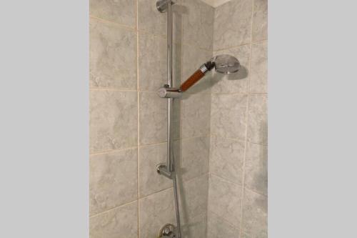 une douche avec pommeau de douche dans une salle de bain dans l'établissement Le 6T Gastro, à Dijon