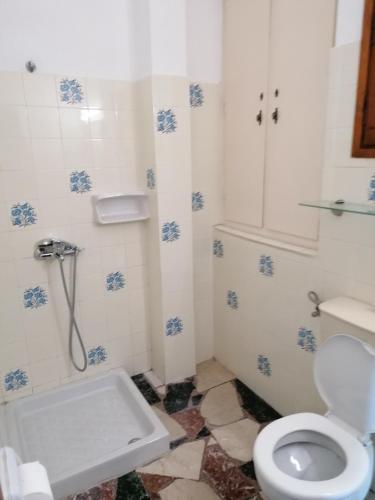 a bathroom with a toilet and a shower in it at Lefteris Rooms in Kokkari
