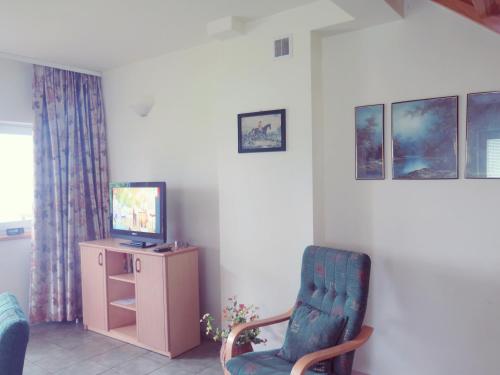 a living room with a chair and a television at Wiking in Kretowiny