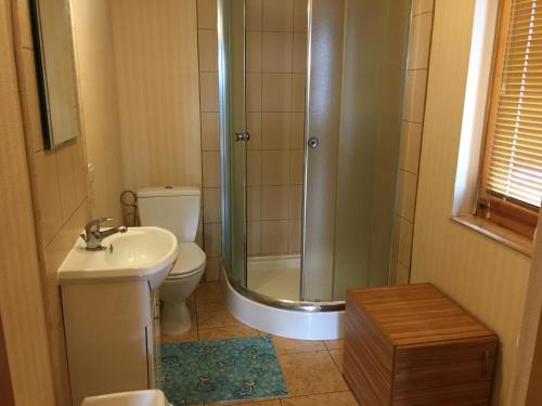 a bathroom with a shower and a toilet and a sink at Filkówka- Słoneczne Wzgórze in Wadowice