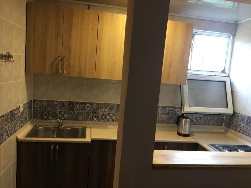 Köök või kööginurk majutusasutuses Hotel Premium