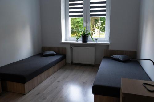 格但斯克的住宿－Apartament Oliwska Przystań，客房设有两张床和窗户。