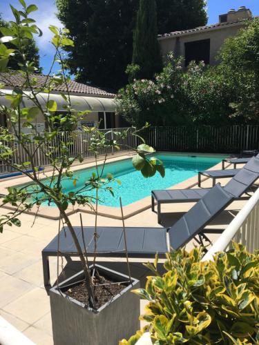 uma piscina com duas espreguiçadeiras e uma planta em Hotel Cantosorgue em LʼIsle-sur-la-Sorgue