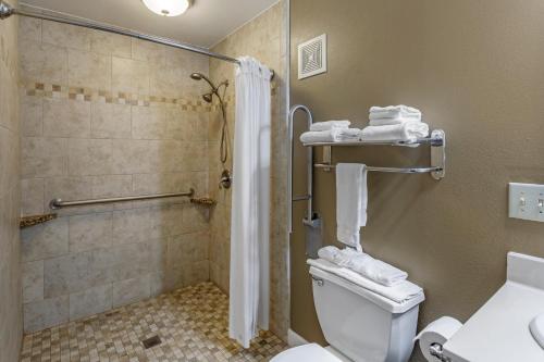 e bagno con doccia, servizi igienici e lavandino. di Richland Inn of Columbia a Columbia