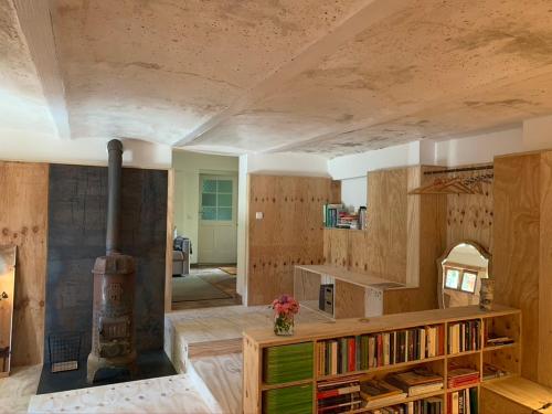 a living room with a fireplace and a book shelf at Künstlerzimmer in Straden