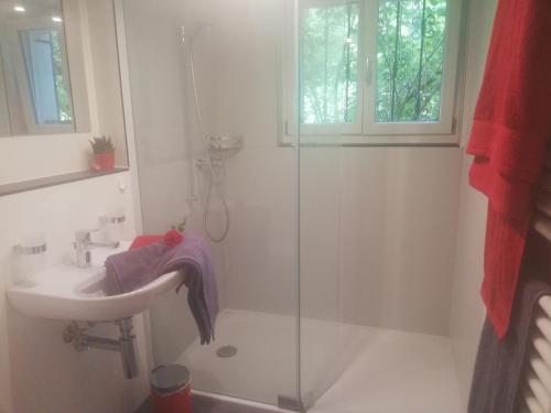 a bathroom with a sink and a glass shower at Billenberghof in St. Gallen