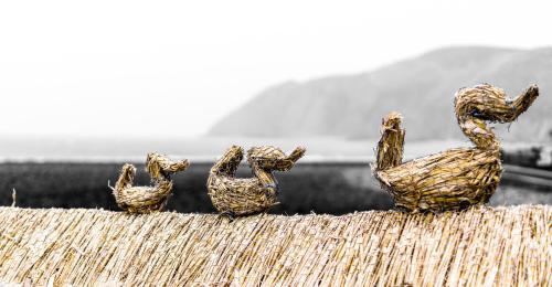 a group of birds sitting on top of a straw roof at Rising Sun Hotel in Lynmouth