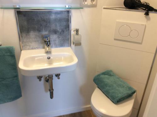 許萊登的住宿－Fewo Eifeler Edelsteine „Aquamarin“，一间带水槽和卫生间的浴室