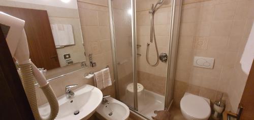 W łazience znajduje się prysznic, toaleta i umywalka. w obiekcie Hotel Diana w mieście Canazei