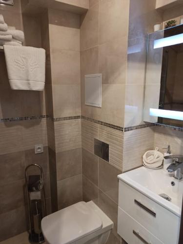 a bathroom with a toilet and a sink at Apartament New Slavia in Międzyzdroje