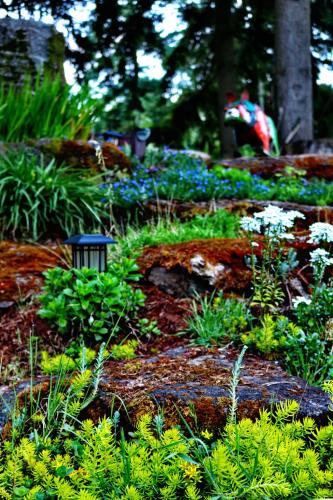 Happy Rock Inn – Photos 4