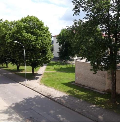 an empty street with trees and a wall and a street light at Alytus Ziburio studio in Alytus