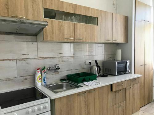 eine Küche mit einer Spüle und einer Mikrowelle in der Unterkunft Apartman na namesti in Opočno