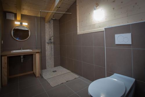 a bathroom with a toilet and a sink at gîtes à la ferme dela le var in Guillaumes