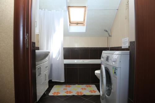 a small bathroom with a washing machine and a window at ANNAMARI in Pavshyno