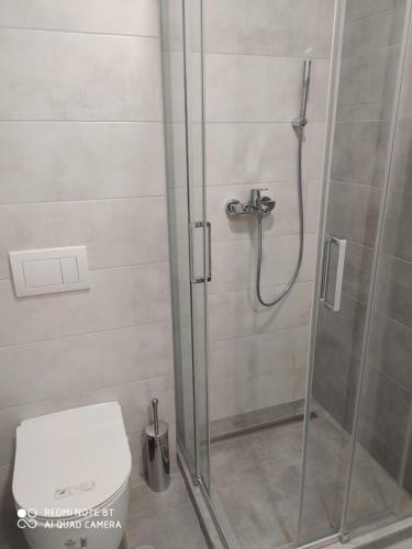 a bathroom with a shower with a toilet at Deluxe apartment Jelena in Trebinje
