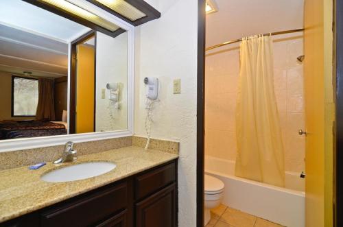 阿森斯的住宿－Stay Express Inn Athens，一间带水槽、卫生间和镜子的浴室