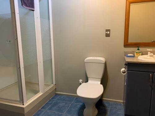 a bathroom with a toilet and a shower and a sink at Spires Barn Lodge in Christchurch