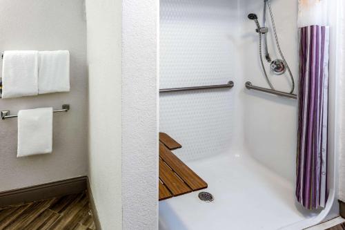 a bathroom with a shower and a bath tub at La Quinta Inn by Wyndham Laredo I-35 in Laredo