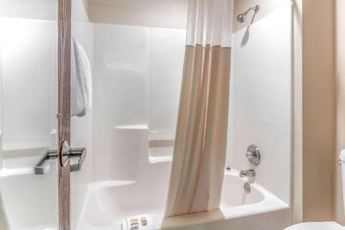 a shower with a shower curtain in a bathroom at La Quinta Inn & Suites by Wyndham Las Cruces Organ Mountain in Las Cruces