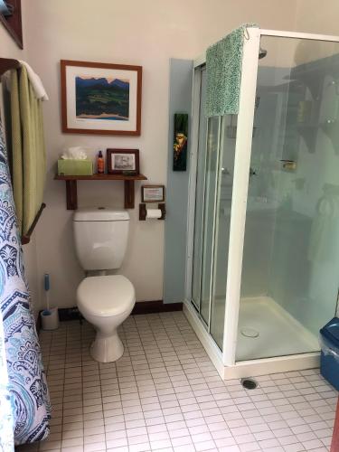 a bathroom with a toilet and a shower at Mossman Gorge Bed and Breakfast in Mossman
