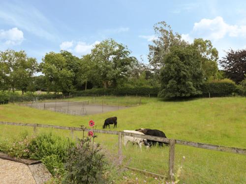 three cows grazing in a field behind a fence at Breaches Barn in Rockbourne