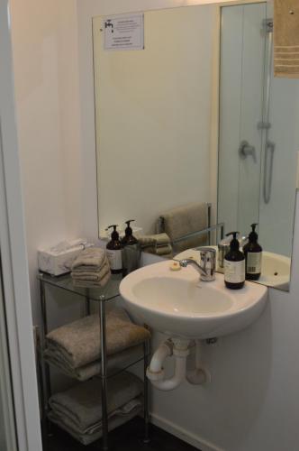 a bathroom with a sink and a mirror at Poplar Creek in Matamata