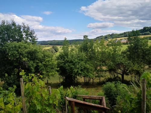 a view of a field with trees and a fence at Landhotel Saar-Mosel in Tünsdorf