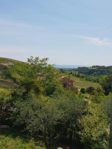 a view of a hill with a tree in the foreground at B&B Il giardino degli incanti in SantʼElpidio a Mare