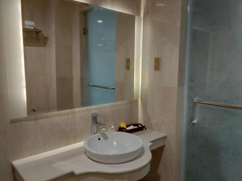 a bathroom with a sink and a mirror and a shower at Hotel Indah Palace Yogyakarta in Yogyakarta